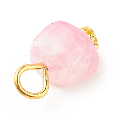Natural Agate Pendants PALLOY-JF01586-01-1