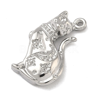 304 Stainless Steel Pendants STAS-K322-20A-P-1