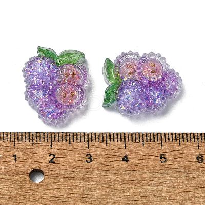 Fruit Transparent Epoxy Resin Decoden Cabochons LS-CRES-I030-23E-1