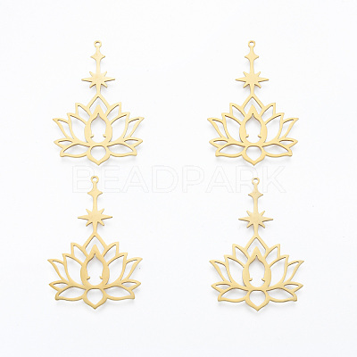 201 Stainless Steel Pendants STAS-N090-LA909-2-1