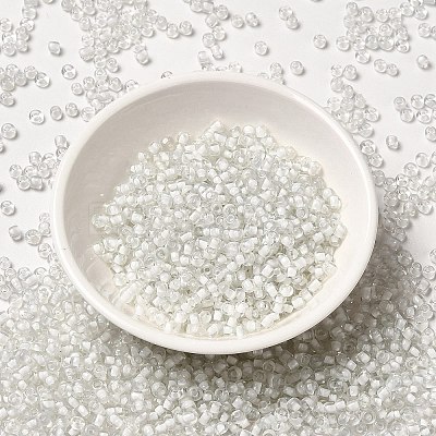 6/0 Transparent Glass Seed Beads SEED-F003-03A-07-1