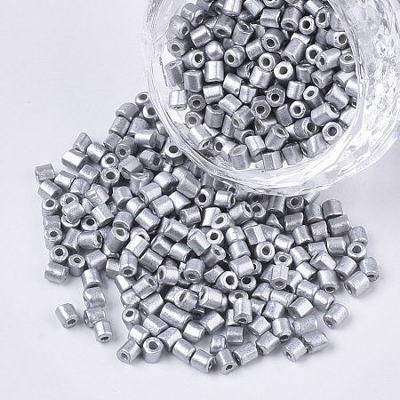 8/0 Two Cut Glass Seed Beads SEED-S033-06A-01-1