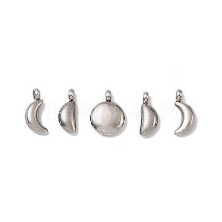 5Pcs 304 Stainless Steel Charms X-STAS-M017-14P-1