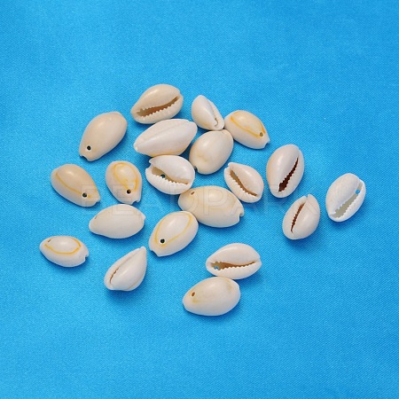 Natural Cowrie Shell Beads BSHE-S055-1