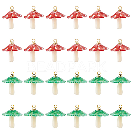 24Pcs 2 Colors Plastic Pendants KY-DC0001-50-1