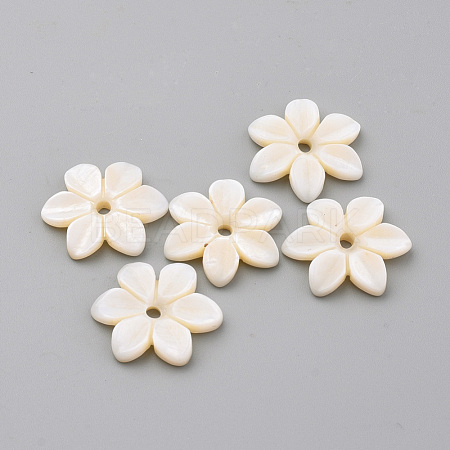Natural Freshwater Shell Beads SHEL-S269-32-1