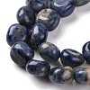 Natural Sodalite Beads Strands G-G146-A03-02-4