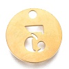 304 Stainless Steel Pendants X-STAS-F233-03-G-2