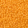 TOHO Round Seed Beads SEED-TR11-0148F-2