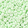 Baking Paint Glass Seed Beads SEED-B001-02A-11-3