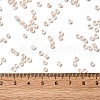 12/0 Transparent Glass Seed Beads X-SEED-F003-03C-12-4