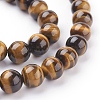 Natural Tiger Eye Beads X1-G-G099-8mm-4-3
