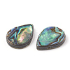 Abalone Shell/Paua Shell Beads SHEL-T005-02-2