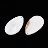 Natural Freshwater Shell Big Pendants SHEL-T020-02-2