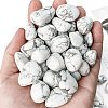 Natural Howlite Healing Stones PW-WGD7FF2-06-1