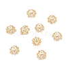 Brass Multi-Petal Bead Caps KK-K251-06G-2