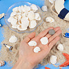 Shell Pendants SSHEL-TA0001-03-5