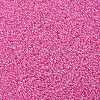 12/0 Grade A Round Glass Seed Beads SEED-N001-B-381-2