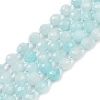 Natural Malaysia Jade Beads Strands G-D305-A01-01C-2