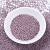 MIYUKI Delica Beads Small SEED-X0054-DBS0379-2