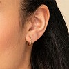 304 Stainless Steel Hoop Earrings for Women EJEW-X0015-02G-01-3