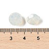 K9 Glass GLAA-R001-04C-01-2