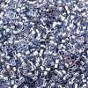 Glass Seed Beads X-SEED-S042-04B-22-3