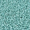 MIYUKI Delica Beads X-SEED-J020-DB1576-3