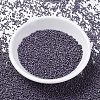 MIYUKI Delica Beads SEED-MY11-DB1174-2