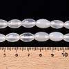 Natural White Agate Beads Strands G-T138-180A-5