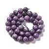 Natural Lepidolite/Purple Mica Stone Beads Strands G-B029-B03-04-2