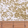 MIYUKI Delica Beads X-SEED-J020-DB0410-4