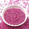 Glass Seed Beads X-SEED-S042-04B-19-2