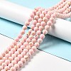 Synthetic Turquoise and Sea Shell Assembled Beads Strands G-D482-01D-06-1