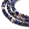 Natural Sunset Sodalite Beads Strands G-B088-C23-02-4