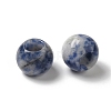 Natural Blue Spot Jasper European Beads G-N342-03D-2