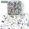60G Natural Fluorite Chip Beads G-YW0001-64-2