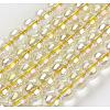 Electroplate Glass Beads Strands GLAA-K025-FR-10mm-A04-1