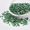 Glass Bugle Beads SEED-E001-12mm-167-1