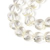 Baking Paint Transparent Glass Beads Strands DGLA-N021-01A-03-3