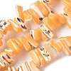 Dyed Natural Trochus Shell Beads Strands SSHEL-C013-09C-1