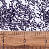 MIYUKI Delica Beads X-SEED-J020-DB0464-4
