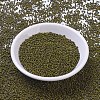 MIYUKI Round Rocailles Beads SEED-G007-RR4519-2