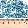MIYUKI Delica Beads LS-X-SEED-J020-DB2513-3