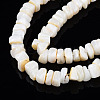 Natural Freshwater Shell Beads Strands SHEL-S278-042-3