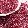 Glass Seed Beads SEED-A033-01A-03-1
