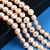 Natural Cultured Freshwater Pearl Beads Strands X-PSB003Y-2-2
