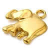 Ion Plating(IP) 304 Stainless Steel Pendants STAS-M070-29G-2