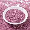 MIYUKI Round Rocailles Beads X-SEED-G007-RR0645-2