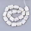 Natural Baroque Pearl Keshi Pearl Beads Strands PEAR-Q015-002B-01-2
